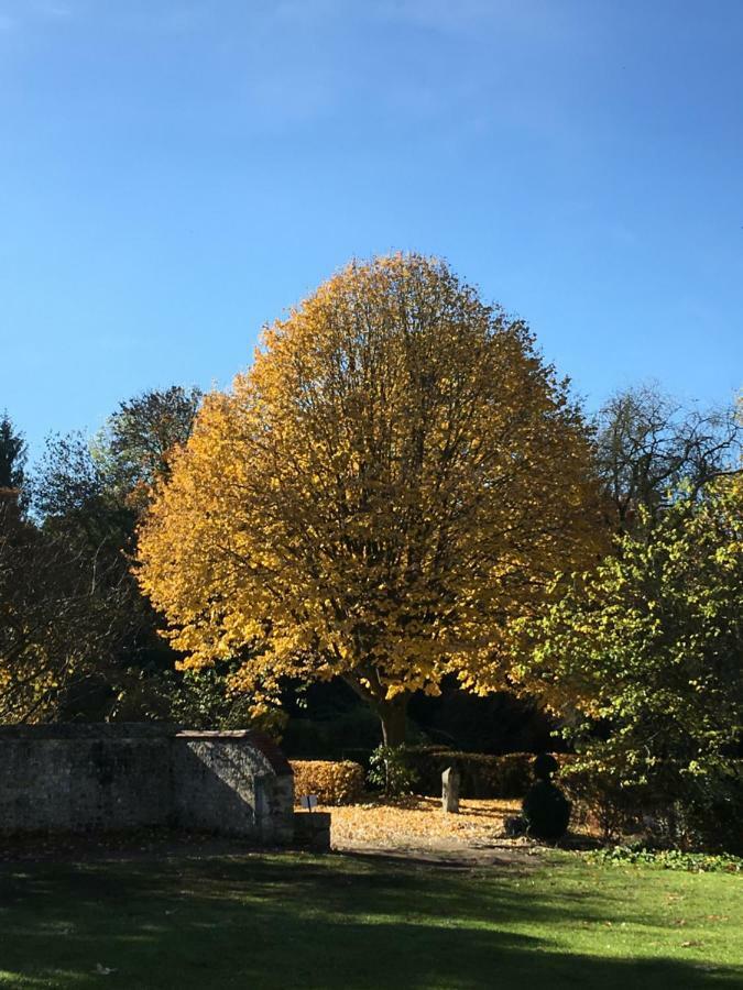 Willa Manoir De L'Aumonerie Saint-Martin-de-Boscherville Zewnętrze zdjęcie